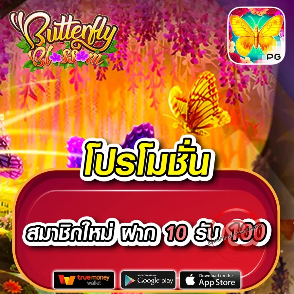 paruay bonus